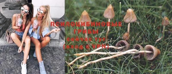 прущие крисы Арсеньев