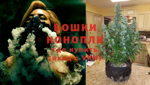 винт Аркадак