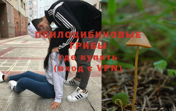 прущие крисы Арсеньев