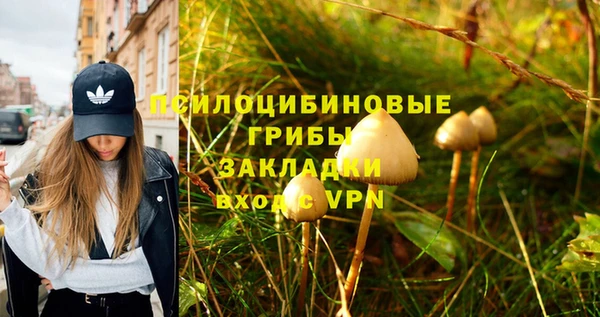 spice Баксан