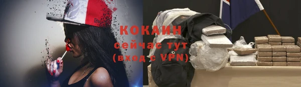 прущие крисы Арсеньев