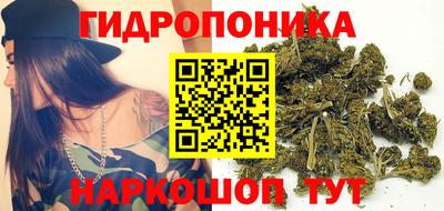 гидропоника Боровичи
