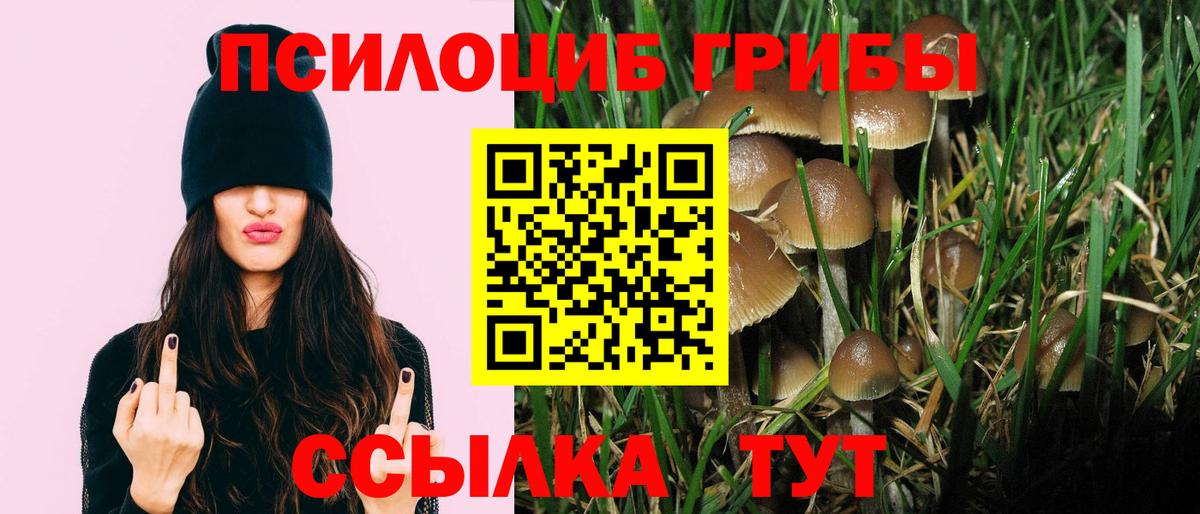 наркота  Галлюциногенные грибы мухоморы  Вход с VPN  Галлюциногенные грибы Psilocybe  Баксан 